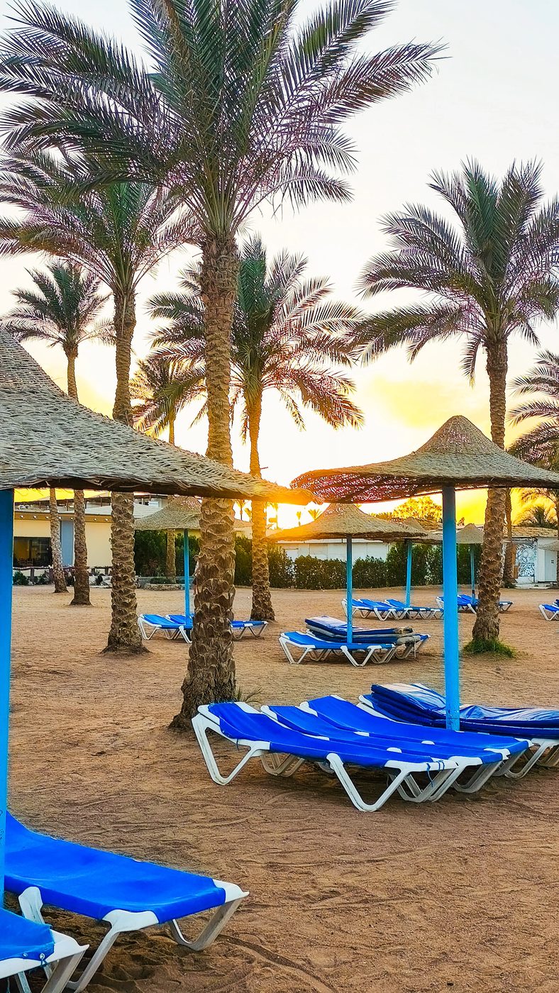 Resort beach with palms and sun loungers at sunset